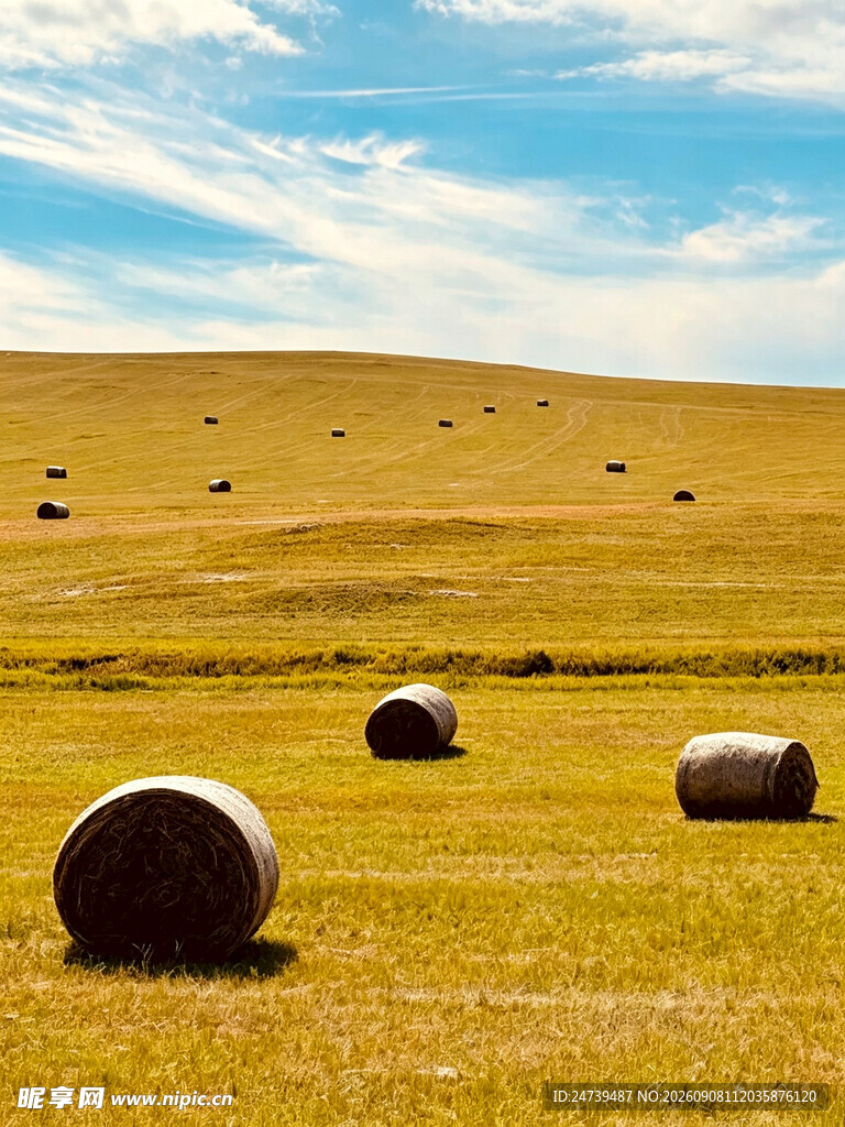 草原上的干草垛风景