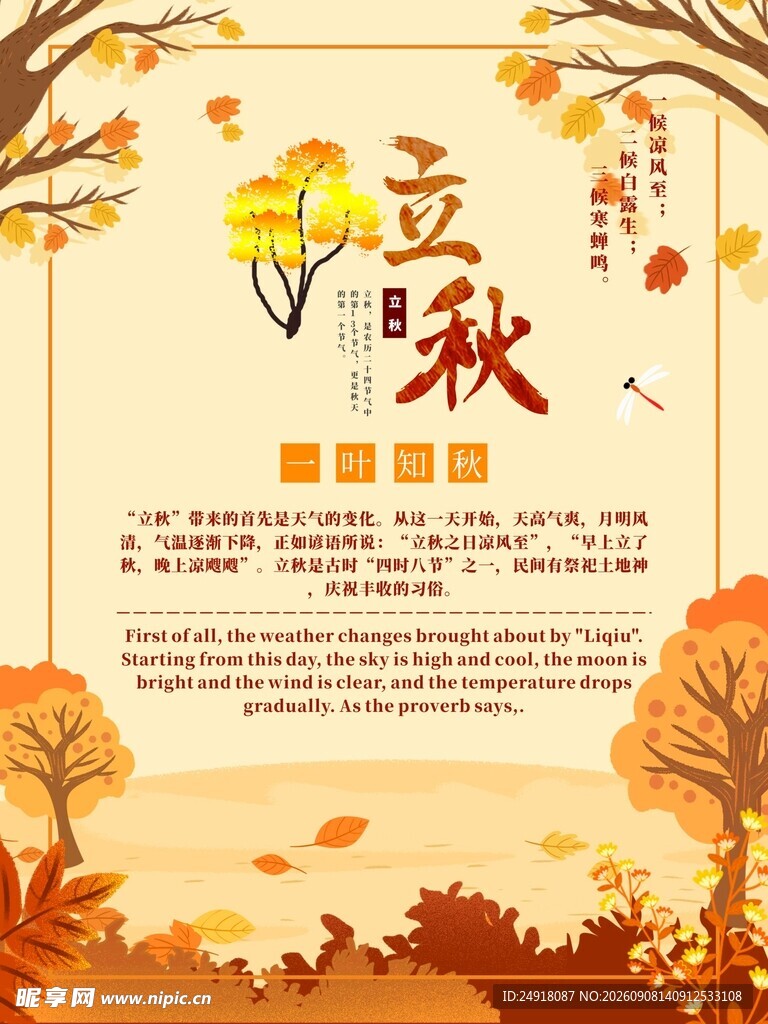 立秋节气秋天枫叶收获丰收背景