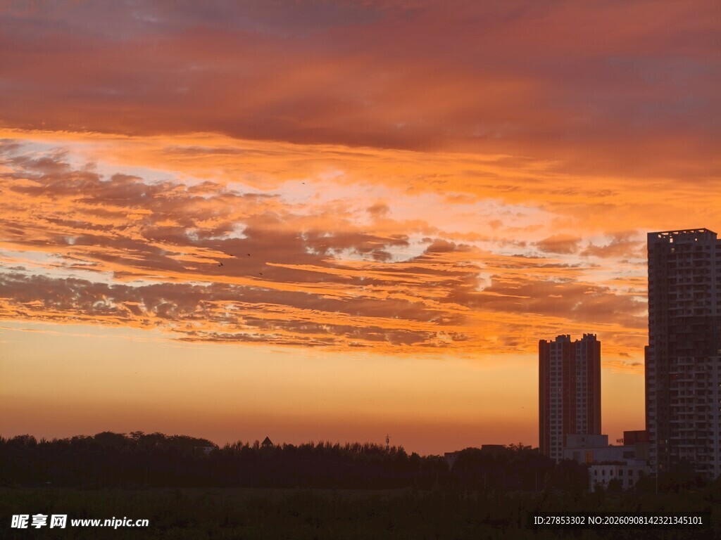 夕阳下的城市高楼美景