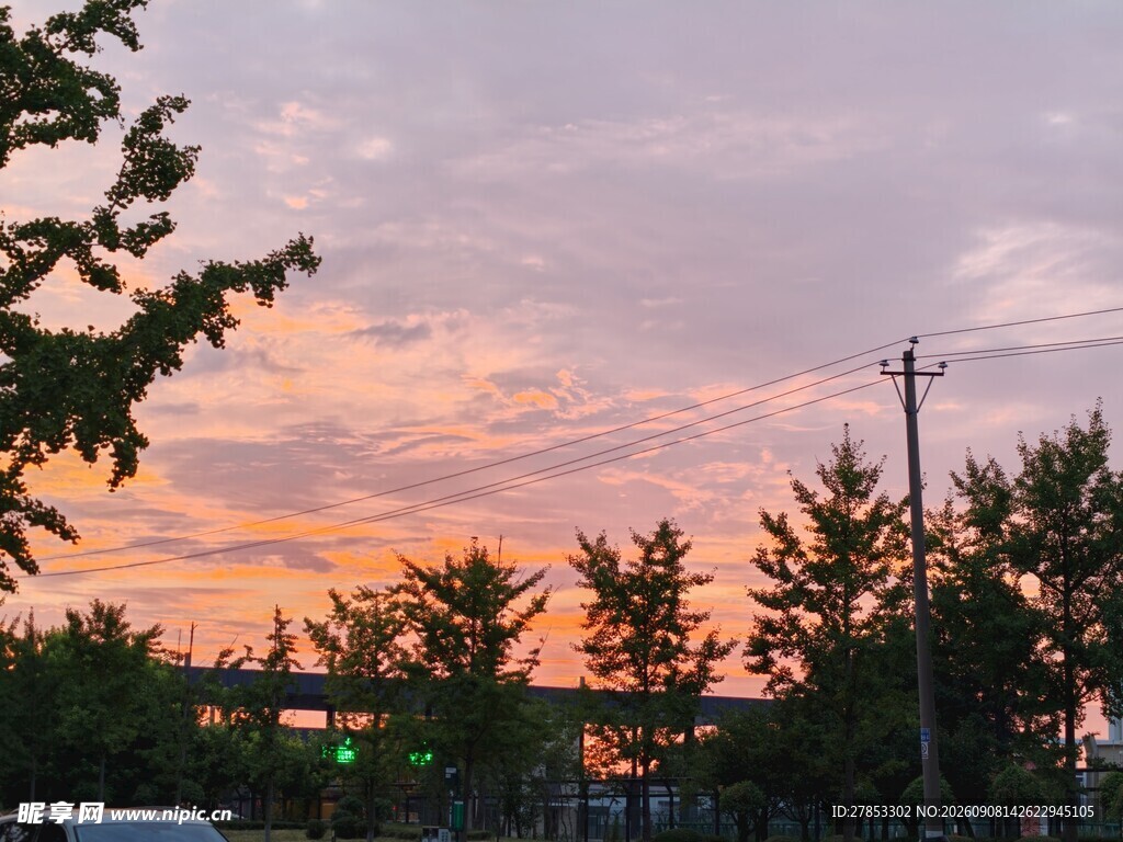 夕阳下的树林美景