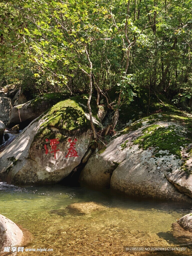 山间溪流旁的岩石与绿植
