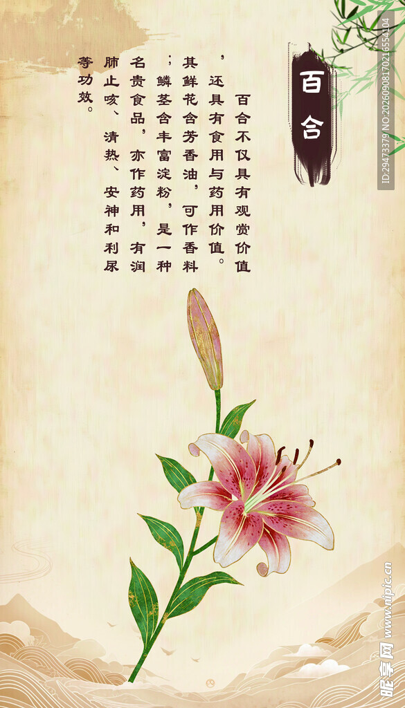 百合