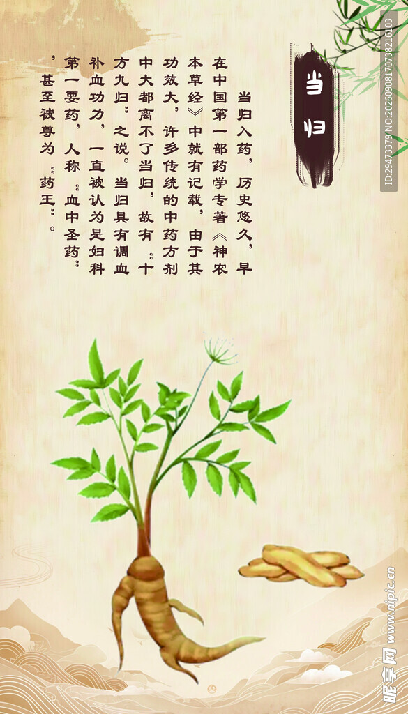 当归