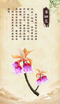 吊钟花