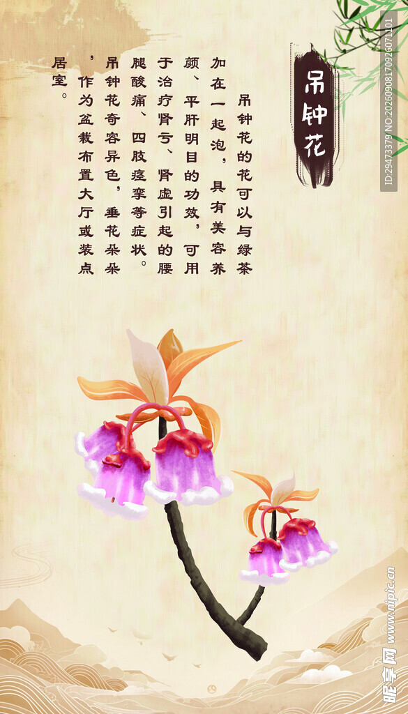 吊钟花