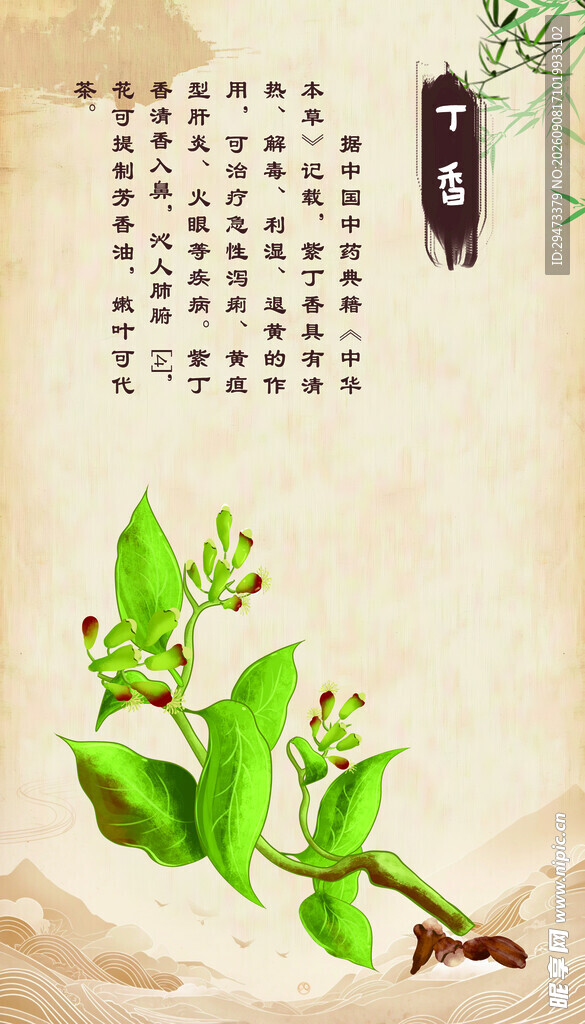丁香