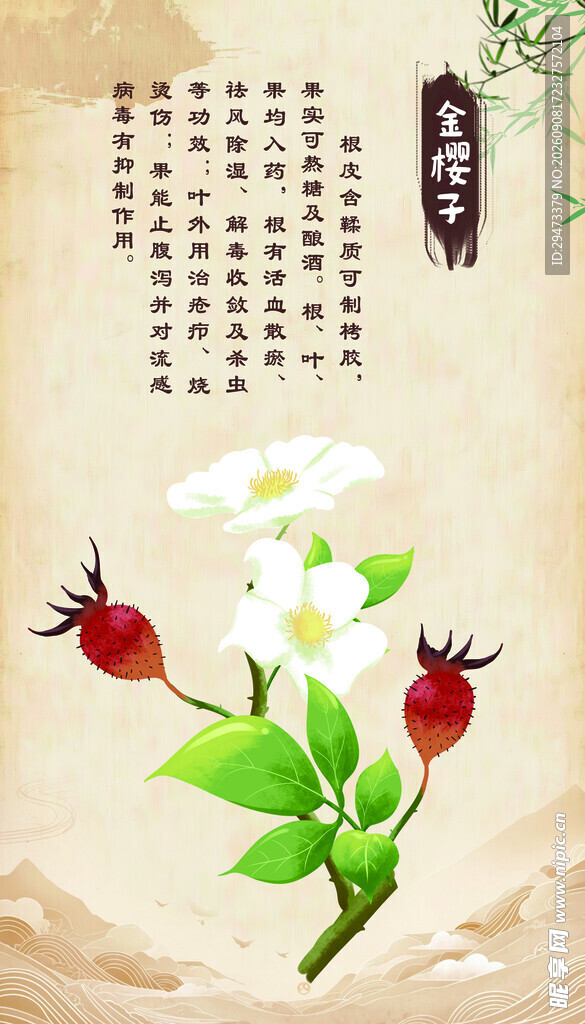 金樱子