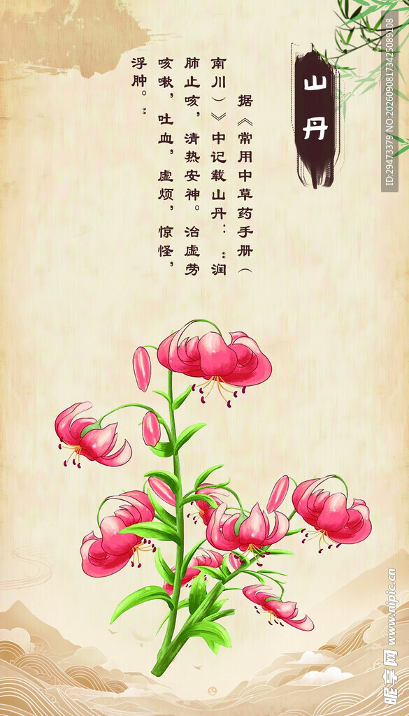 中式手绘花卉图 山丹