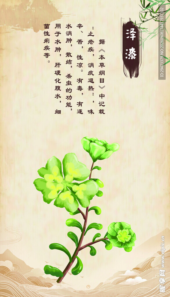清新绿花 泽漆