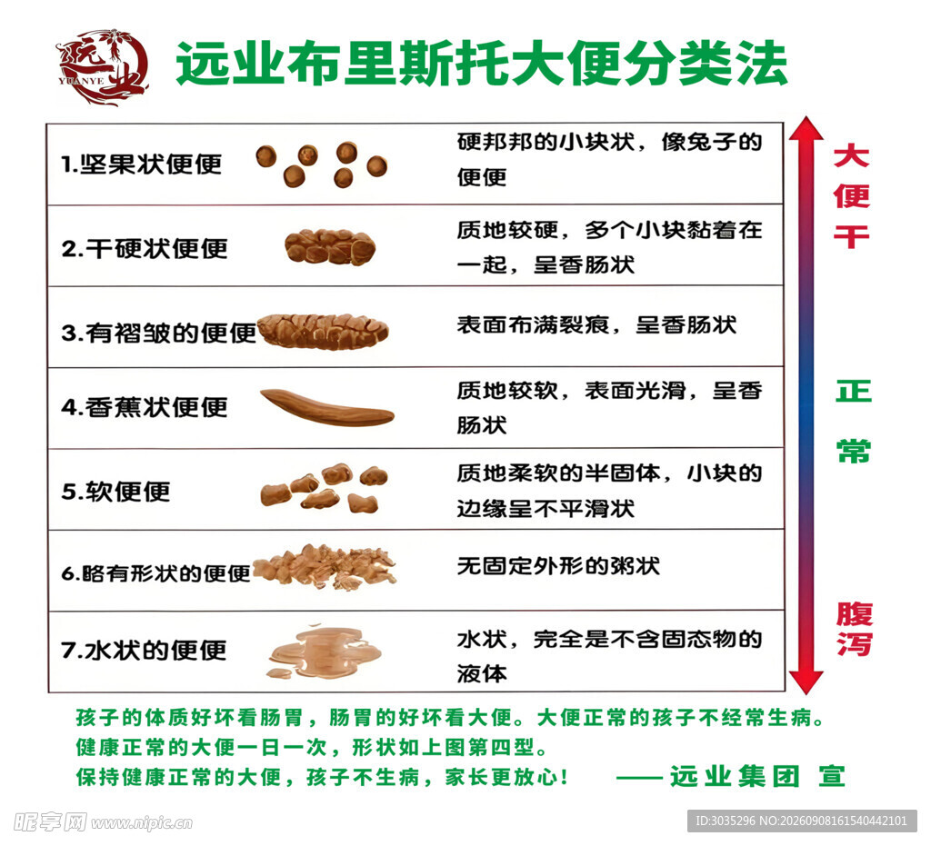布里斯大便分类