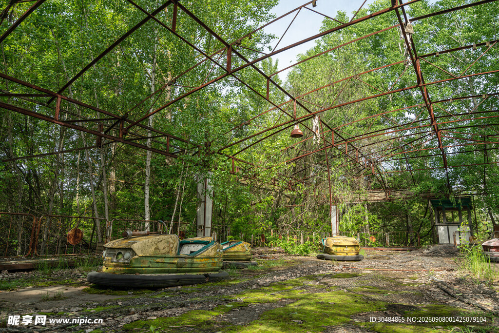 废弃林间游乐设施