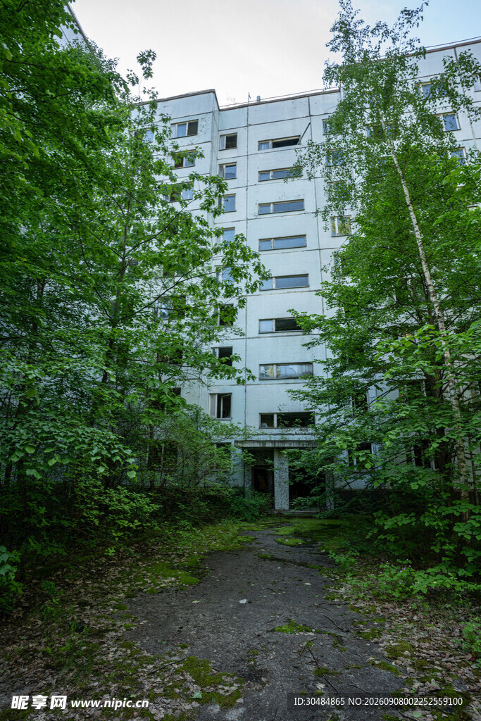 废弃建筑隐于葱郁树林中