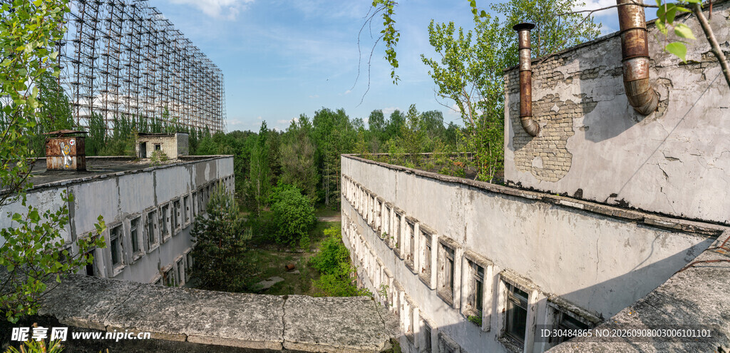 现代建筑与绿植景观