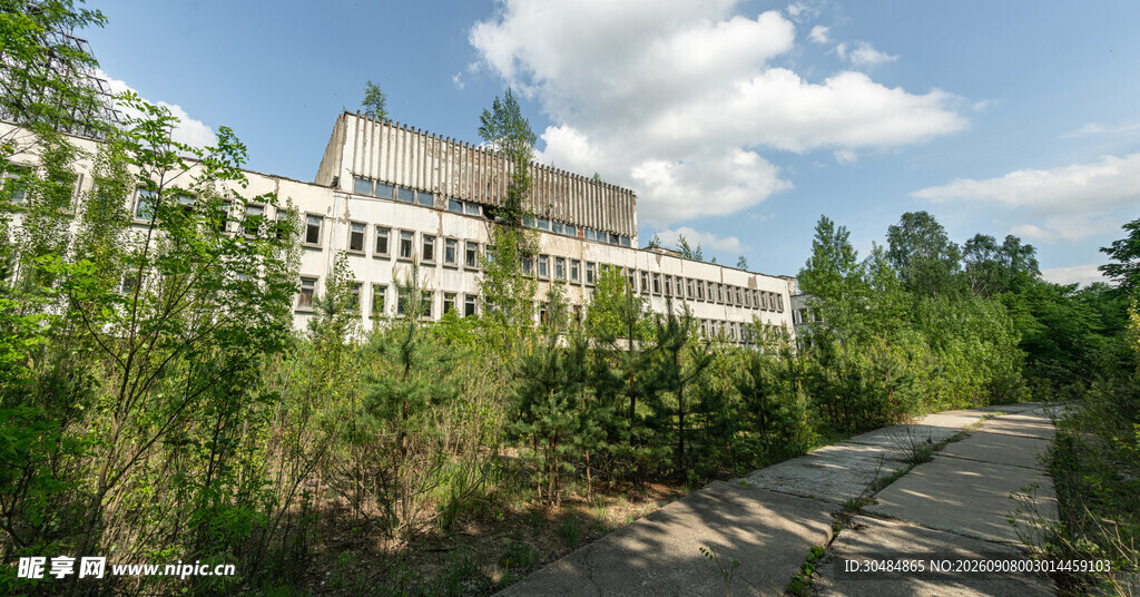 废弃建筑旁的绿植小路
