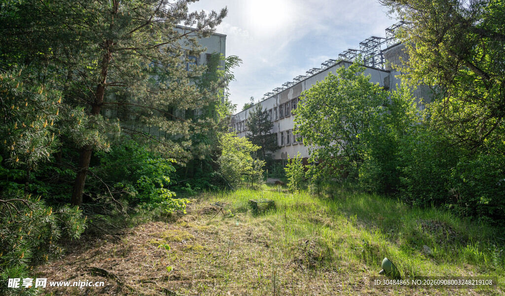 废弃建筑林间草地