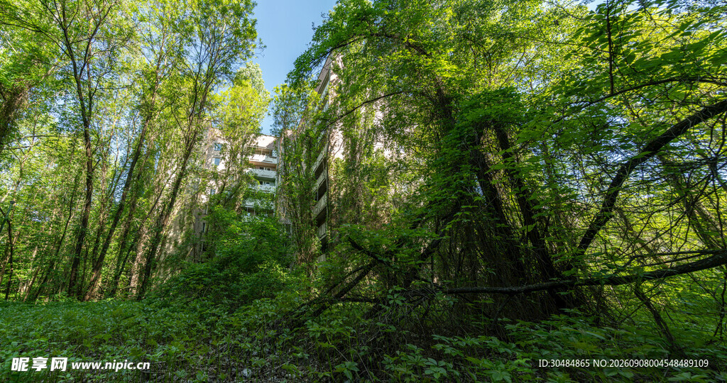 森林中隐现的废弃建筑