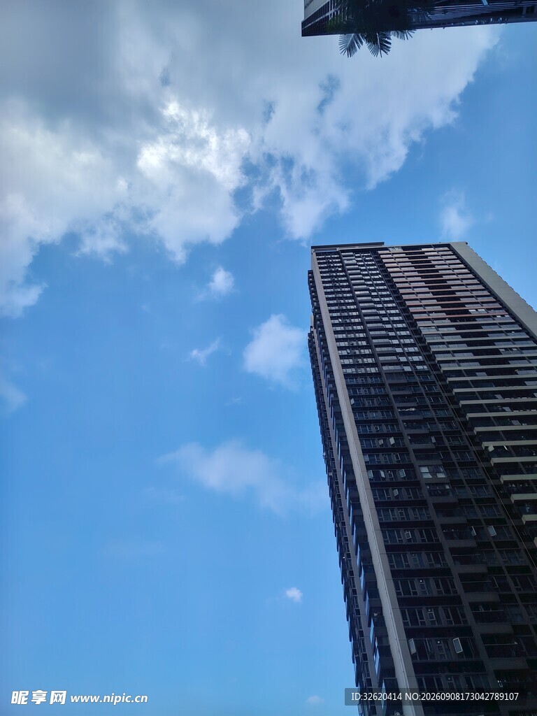 仰视高楼