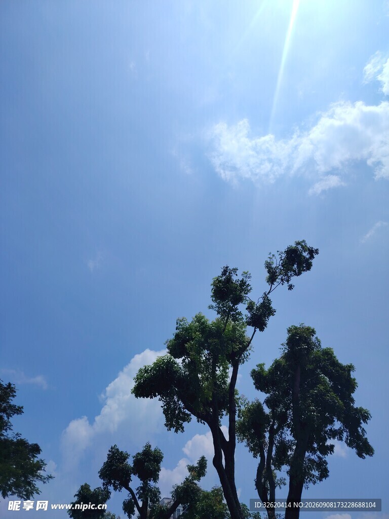 蓝天绿树间的清新景致