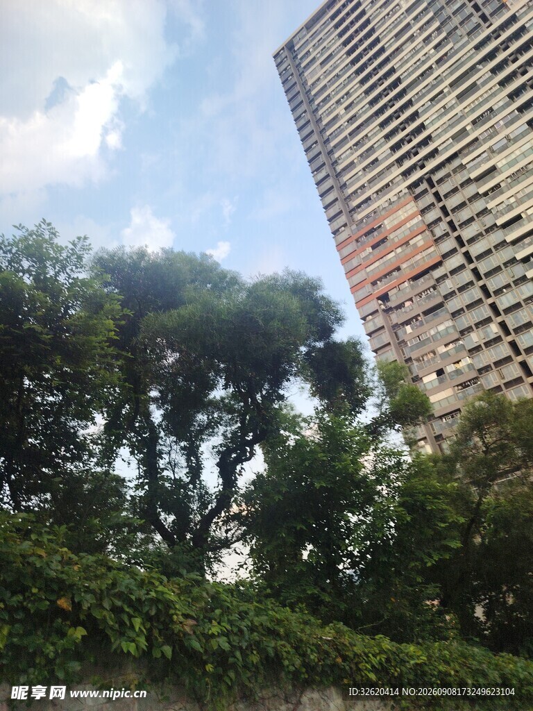 高楼旁绿意盎然的景致