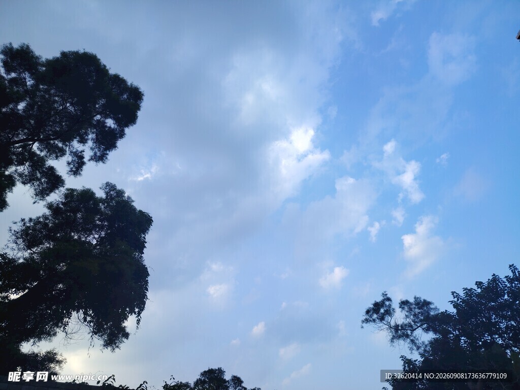 蓝天绿树间的清新景致