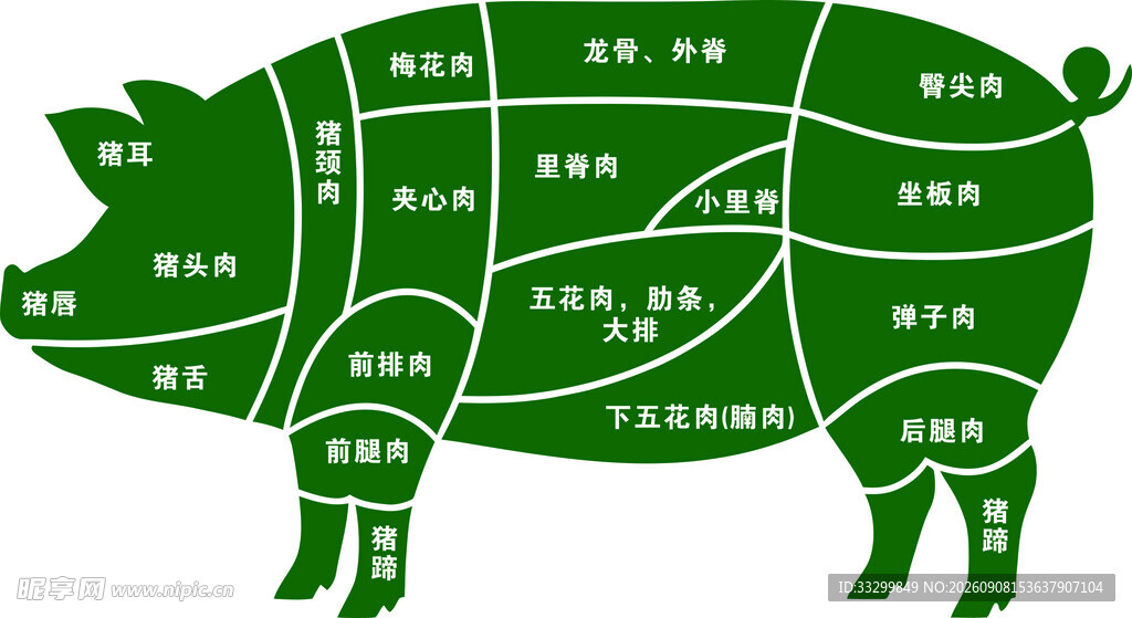 猪肉分割图