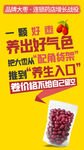 枸杞子海报好气色枸杞大字报海报