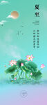 夏日荷塘美景
