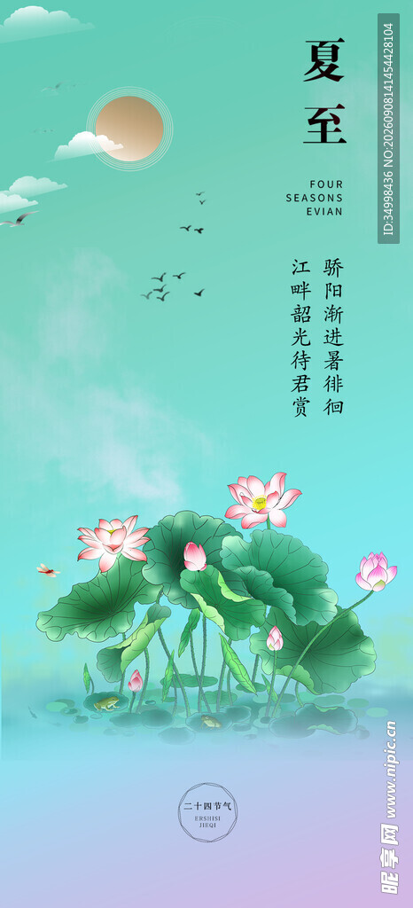 夏日荷塘美景