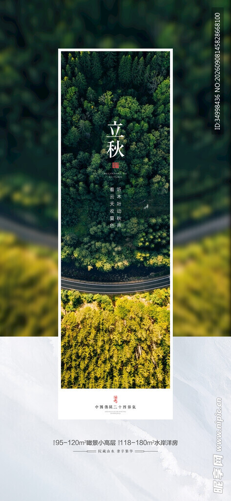自然风景中的林间通道