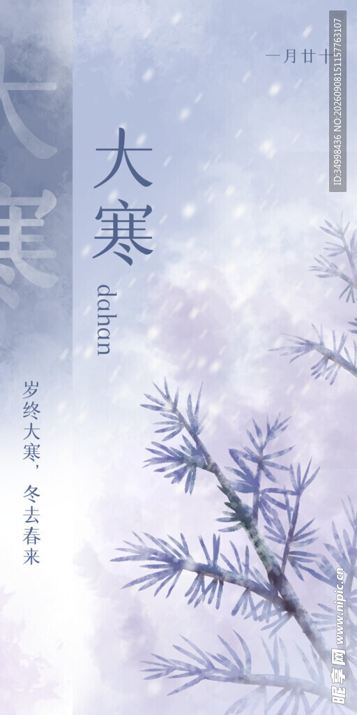 大寒时节枝头覆雪景致