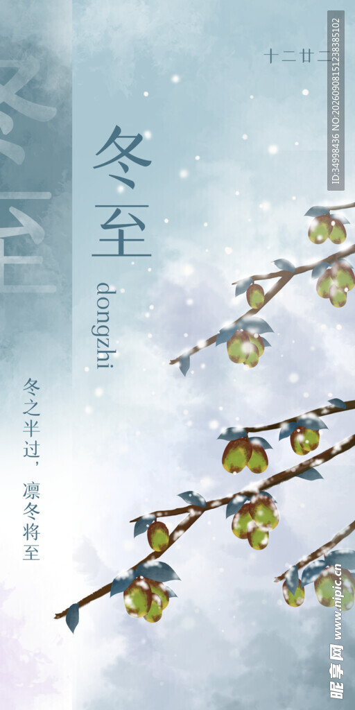 冬至时节的枝头花卉