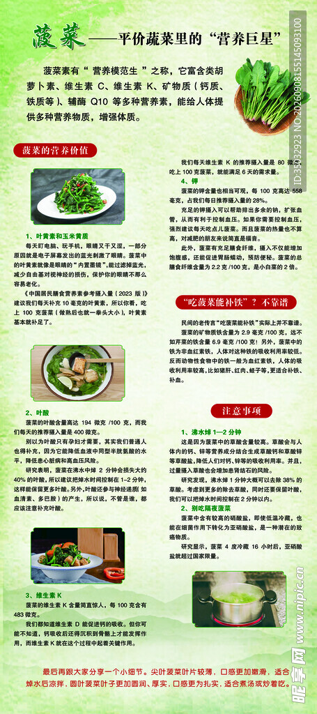 菠菜的价值