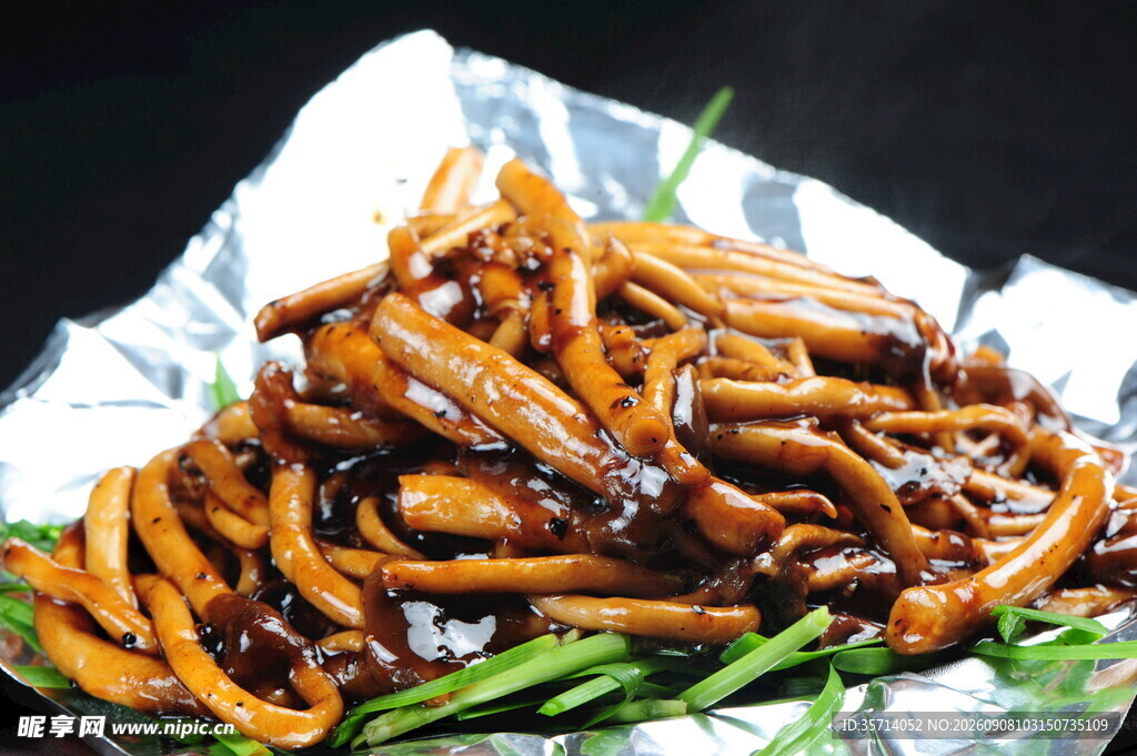 茶树菇