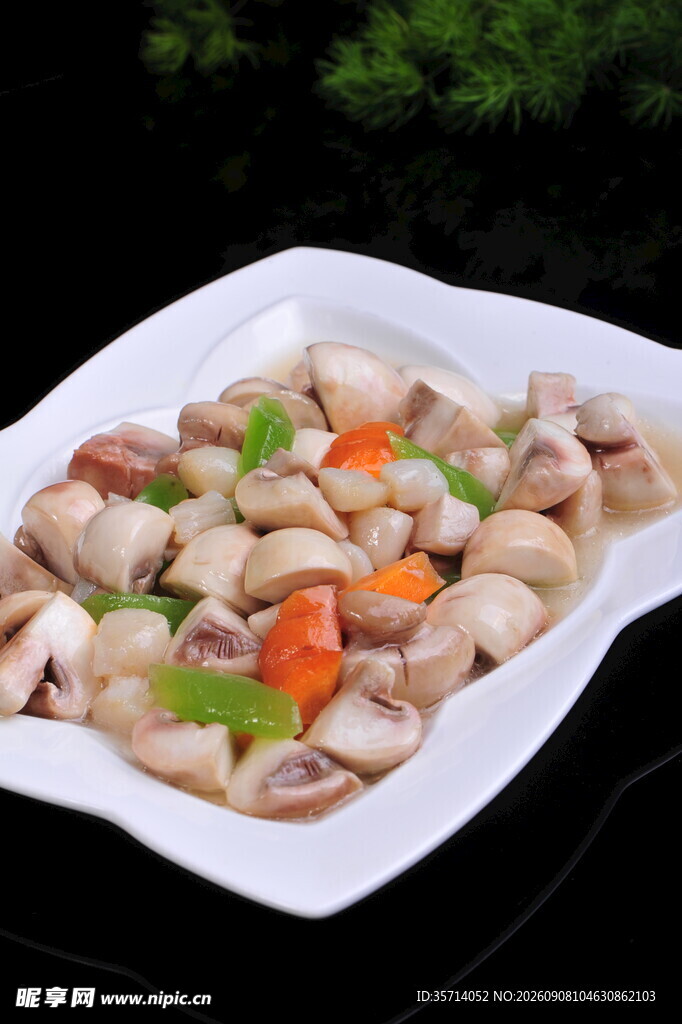 炒蘑菇鲜贝