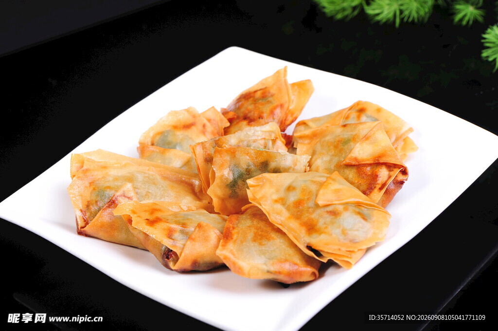 美味油炸馄饨 