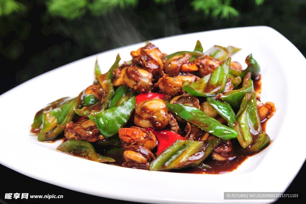 小炒毛贝