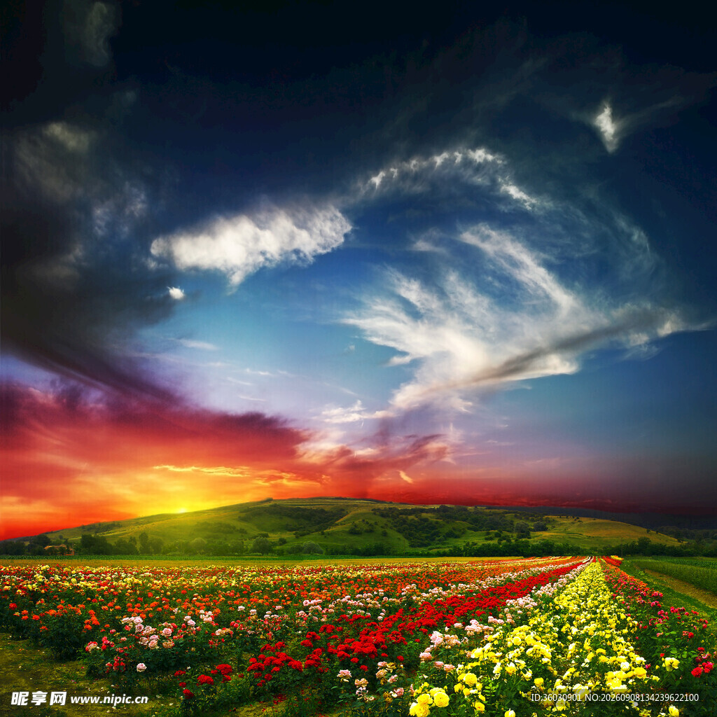 绚丽田野上的梦幻天空
