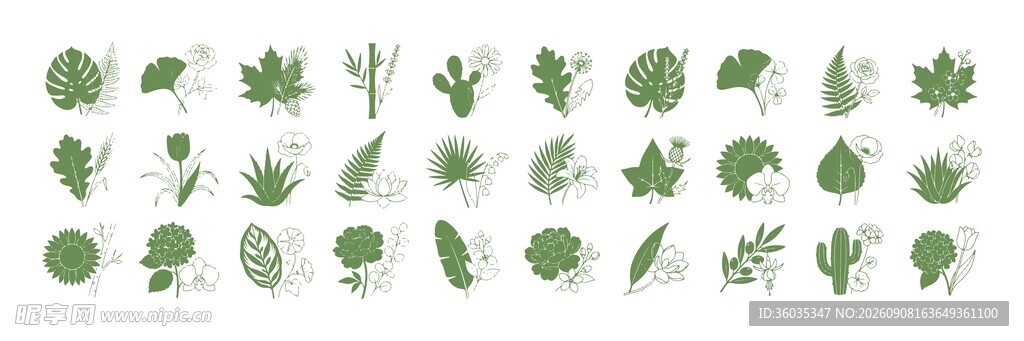 绿植剪影合集