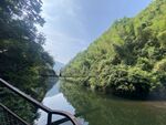 青山绿水间的宁静河道