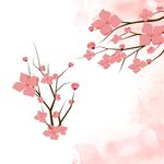 粉色樱花背景