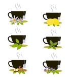 花草茶饮插画