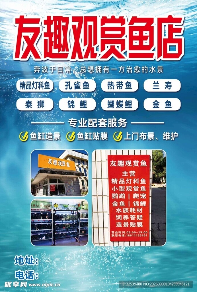 观赏鱼