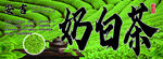 奶白茶