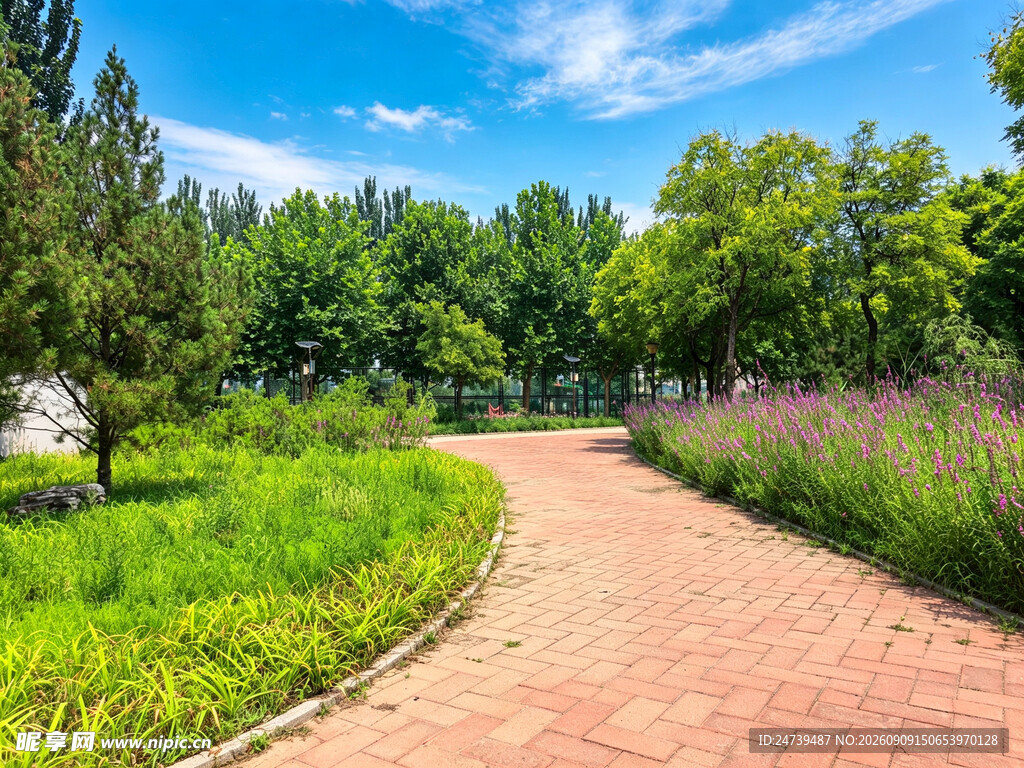 蜿蜒砖径旁的葱郁景致
