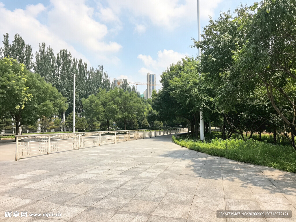 宽阔林荫广场景观
