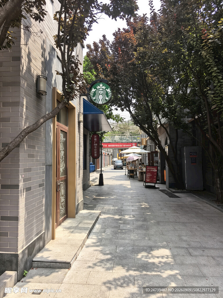 安静街道边的小店与绿树