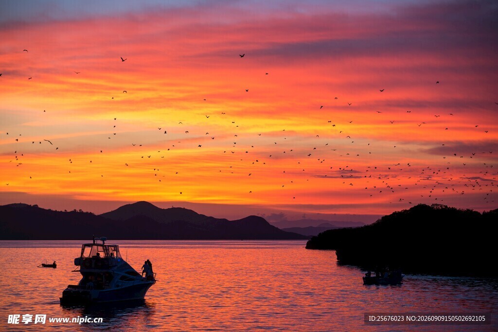 海上绝美夕阳下的船只