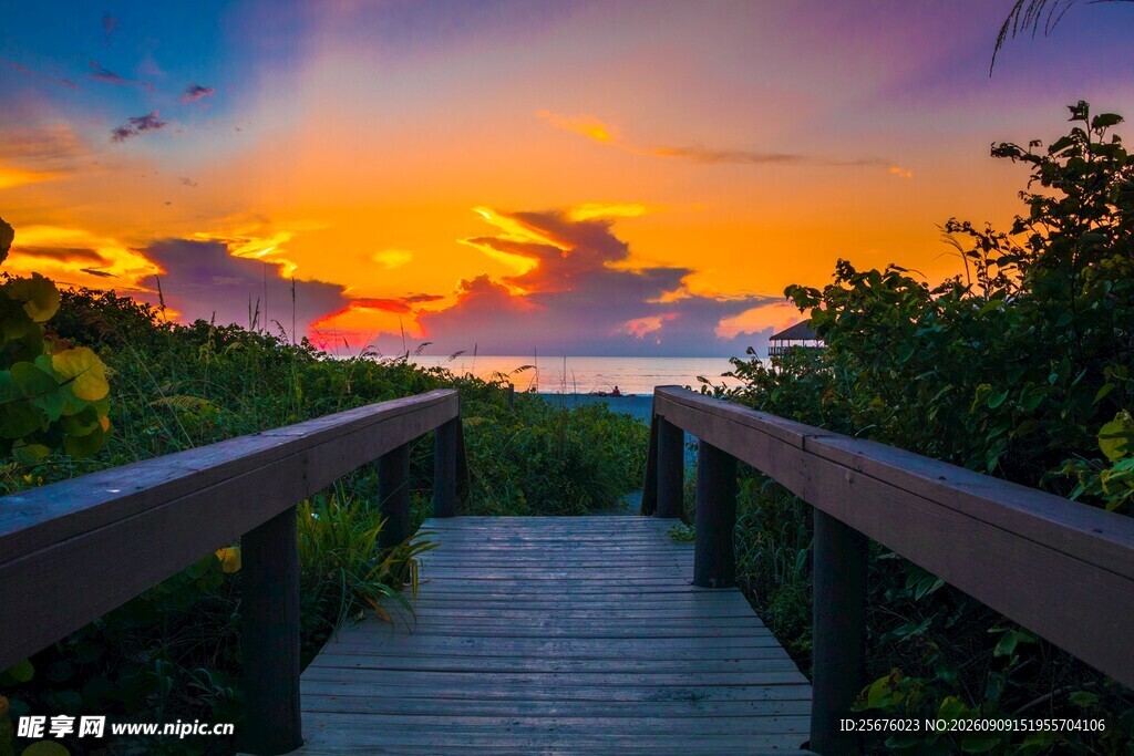 夕阳下的林间木栈道美景