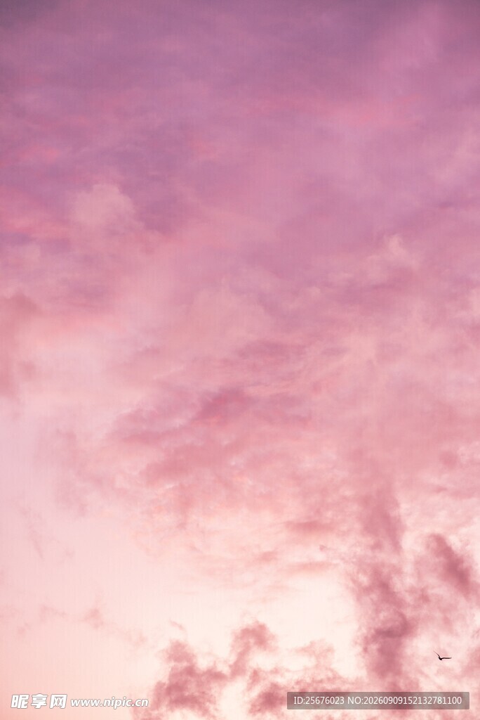 梦幻粉紫色天空美景