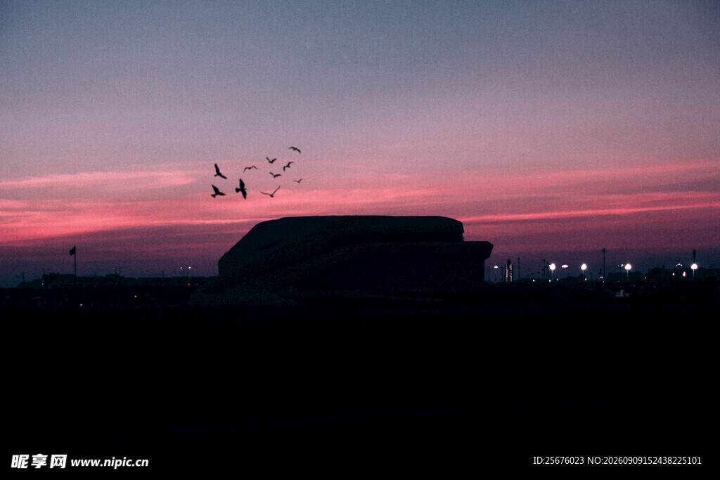 夕阳下的建筑与空中飞鸟